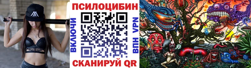 Галлюциногенные грибы Psilocybine cubensis Чкаловск