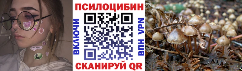 Псилоцибиновые грибы GOLDEN TEACHER  Купить  Чкаловск 